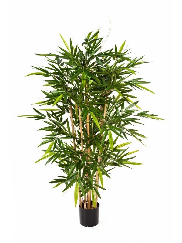 BAMBOO NEW TREE - 150CM