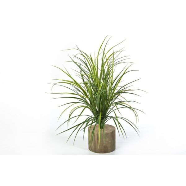 GRASS BUNCH X 158 - 75CM